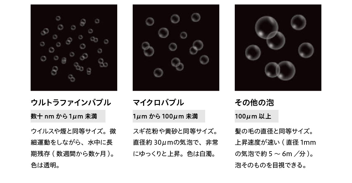 サンプル画像