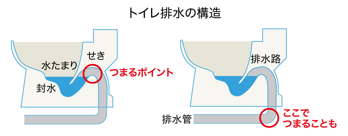 トイレの排水構造