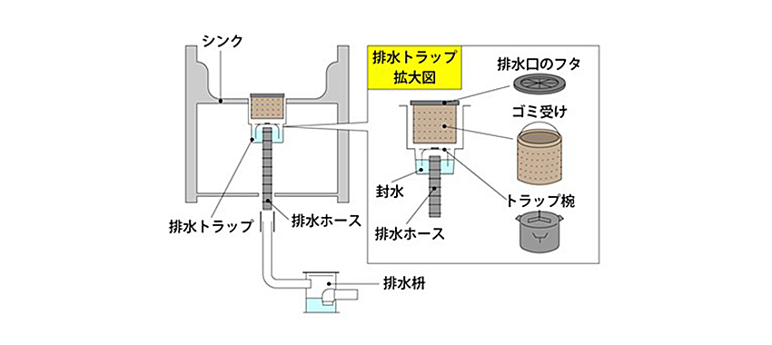 排水口の構造