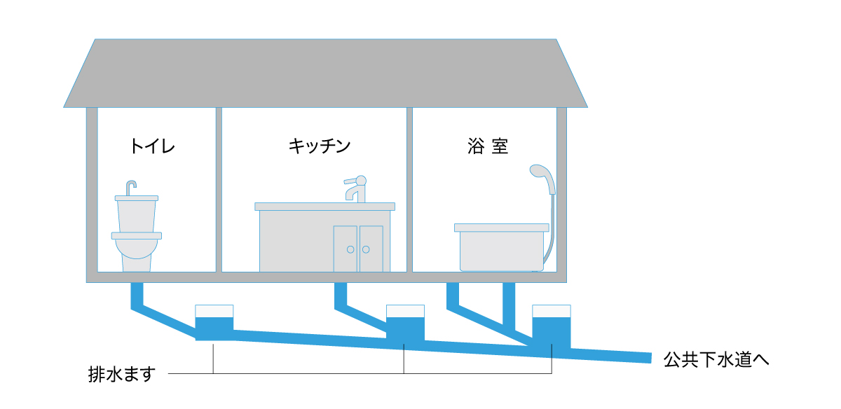 排水の構造